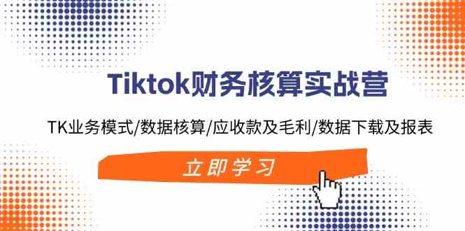 Tiktok财务核算实战营：TK业务模式/数据核算/应收款及毛利/数据下载及报表-甄选网创