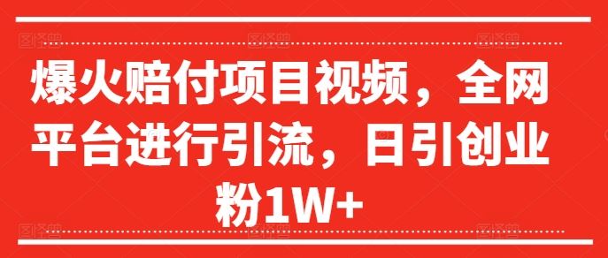 爆火赔付项目视频，全网平台进行引流，日引创业粉1W+【揭秘】-甄选网创