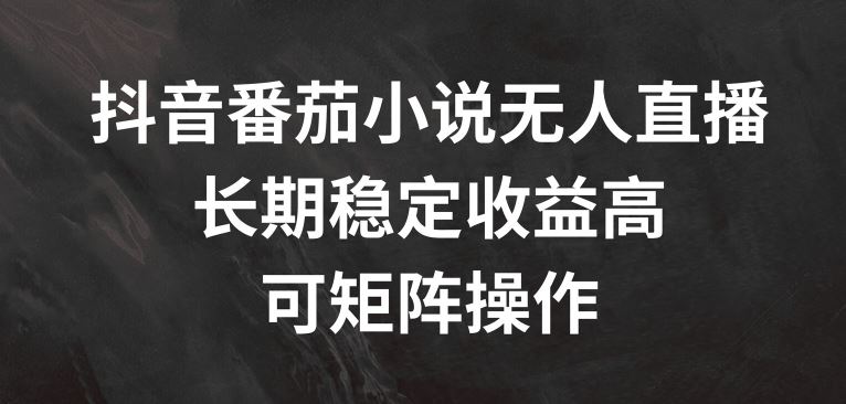 抖音番茄小说无人直播，长期稳定收益高，可矩阵操作【揭秘】-甄选网创