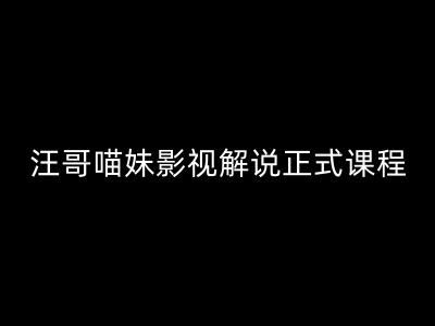 汪哥影视解说正式课程：剪映/PR教学/视解说剪辑5大黄金法则/全流程剪辑7把利器等等-甄选网创