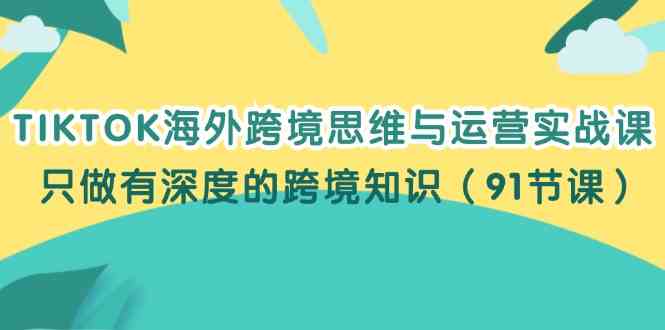 TIKTOK海外跨境思维与运营实战课，只做有深度的跨境知识（91节课）-甄选网创