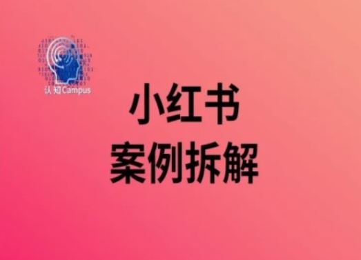 小红书案例拆解，深度解读小红书40万粉-甄选网创