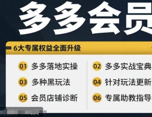 拼多多会员，拼多多实战宝典+实战落地实操，从新手到高阶内容全面覆盖-甄选网创