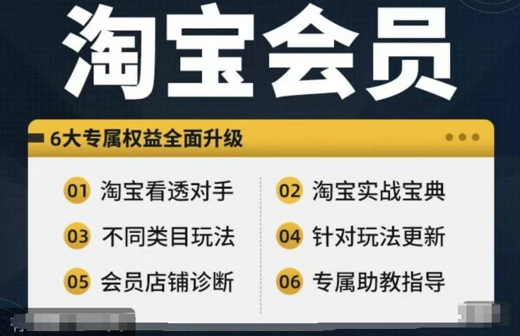 淘宝会员【淘宝所有课程，全面分析对手】，初级到高手全系实战宝典-甄选网创