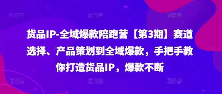 货品IP全域爆款陪跑营【第3期】赛道选择、产品策划到全域爆款，手把手教你打造货品IP，爆款不断-甄选网创