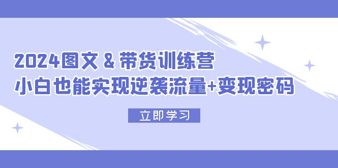 （12137期）2024 图文+带货训练营，小白也能实现逆袭流量+变现密码-甄选网创