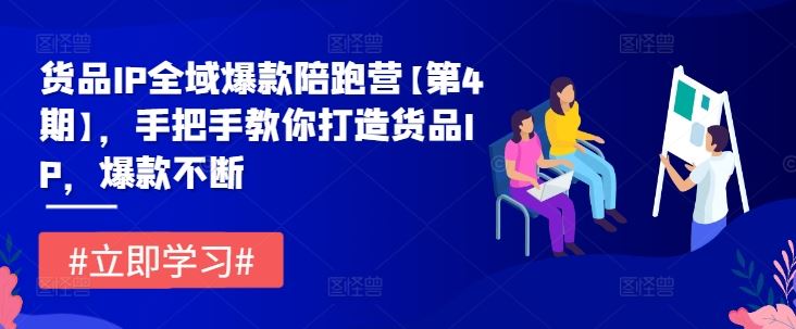 货品IP全域爆款陪跑营【第4期】，手把手教你打造货品IP，爆款不断-甄选网创