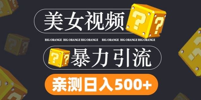 搬运tk美女视频全网分发，日引s粉300+，轻松变现，不限流量不封号【揭秘】-甄选网创