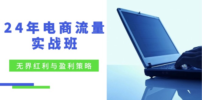 （12168期）24年电商流量实战班：无界 红利与盈利策略，终极提升/关键词优化/精准…-甄选网创