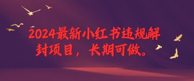 2024最新小红书违规解封项目，长期可做，一个可以做到退休的项目【揭秘】-甄选网创