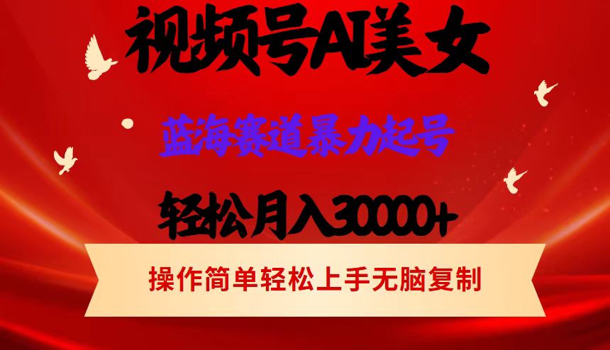 （12178期）视频号AI美女跳舞，轻松月入30000+，蓝海赛道，流量池巨大，起号猛，当…-甄选网创