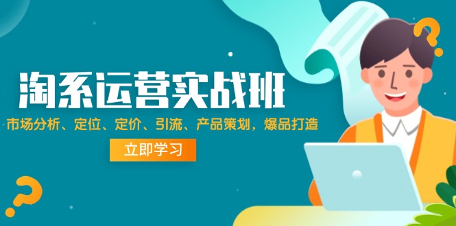 （12186期）淘系运营实战班：市场分析、定位、定价、引流、产品策划，爆品打造-甄选网创