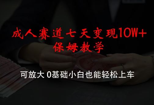 成人赛道七天变现10W+保姆教学，可放大，0基础小白也能轻松上车【揭秘】-甄选网创