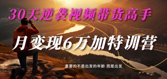 30天逆袭视频带货高手，单月变现6万加特训营-麦子甜-甄选网创