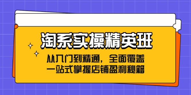 （12276期）淘系实操精英班：从入门到精通，全面覆盖，一站式掌握店铺盈利秘籍-甄选网创