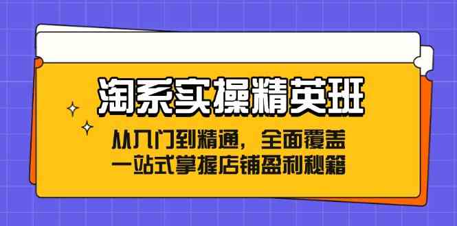 淘系实操精英班：从入门到精通，全面覆盖，一站式掌握店铺盈利秘籍-甄选网创