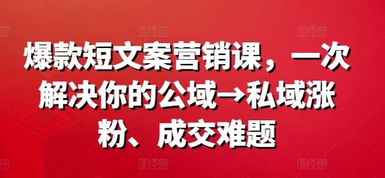 爆款短文案营销课，一次解决你的公域→私域涨粉、成交难题-甄选网创