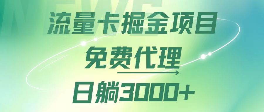 （12321期）流量卡掘金代理，日躺赚3000+，变现暴力，多种推广途径-甄选网创