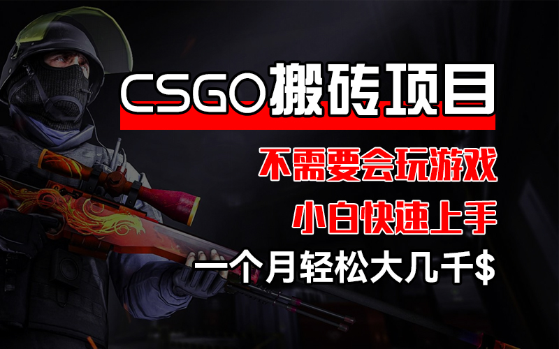 （12332期）CSGO 装备搬砖项目，操作简单，不需要会玩游戏，小白也能快速上手，一…-甄选网创