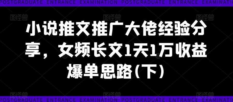 小说推文推广大佬经验分享，女频长文1天1万收益爆单思路(下)-甄选网创