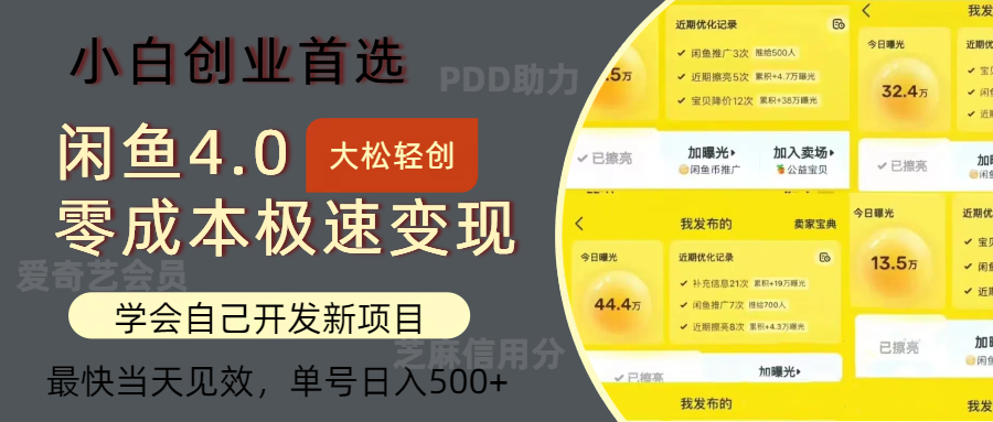 （12434期）闲鱼0成本极速变现项目，多种变现方式 单号日入500+最新玩法-甄选网创