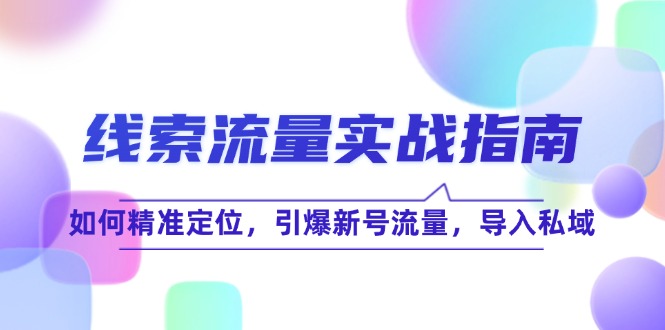 （12382期）线 索 流 量-实战指南：如何精准定位，引爆新号流量，导入私域-甄选网创