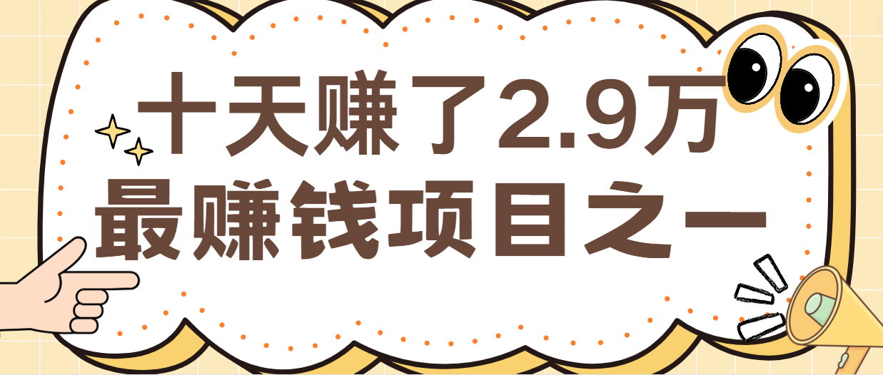 闲鱼小红书最赚钱项目之一，纯手机操作简单，小白必学轻松月入6万+-甄选网创