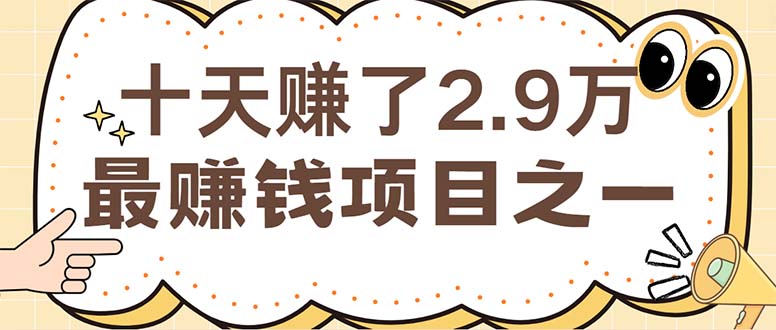 （12491期）闲鱼小红书赚钱项目之一，轻松月入6万+项目-甄选网创