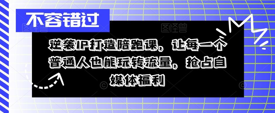 逆袭IP打造陪跑课，让每一个普通人也能玩转流量，抢占自媒体福利-甄选网创