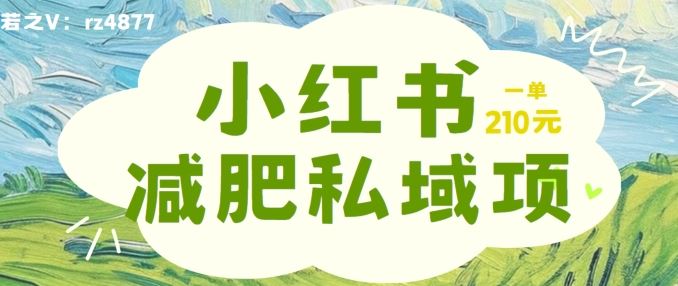 小红书减肥粉，私域变现项目，一单就达210元，小白也能轻松上手【揭秘】-甄选网创