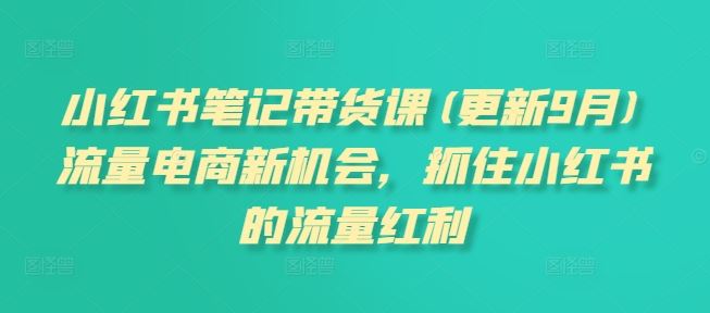 小红书笔记带货课(更新9月)流量电商新机会，抓住小红书的流量红利-甄选网创