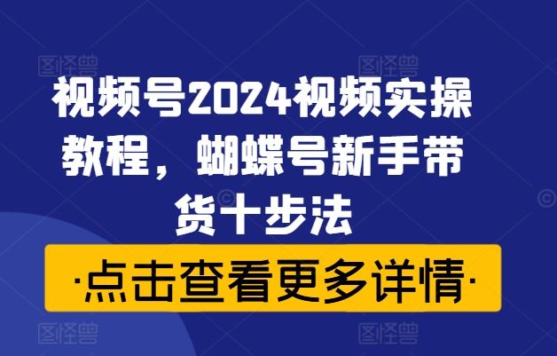 视频号2024视频实操教程，蝴蝶号新手带货十步法-甄选网创