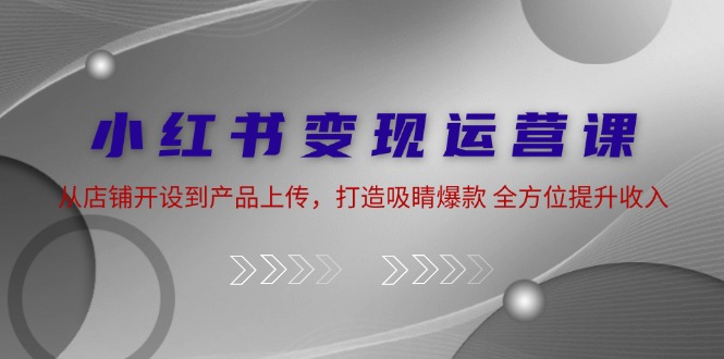 （12520期）小红书变现运营课：从店铺开设到产品上传，打造吸睛爆款 全方位提升收入-甄选网创