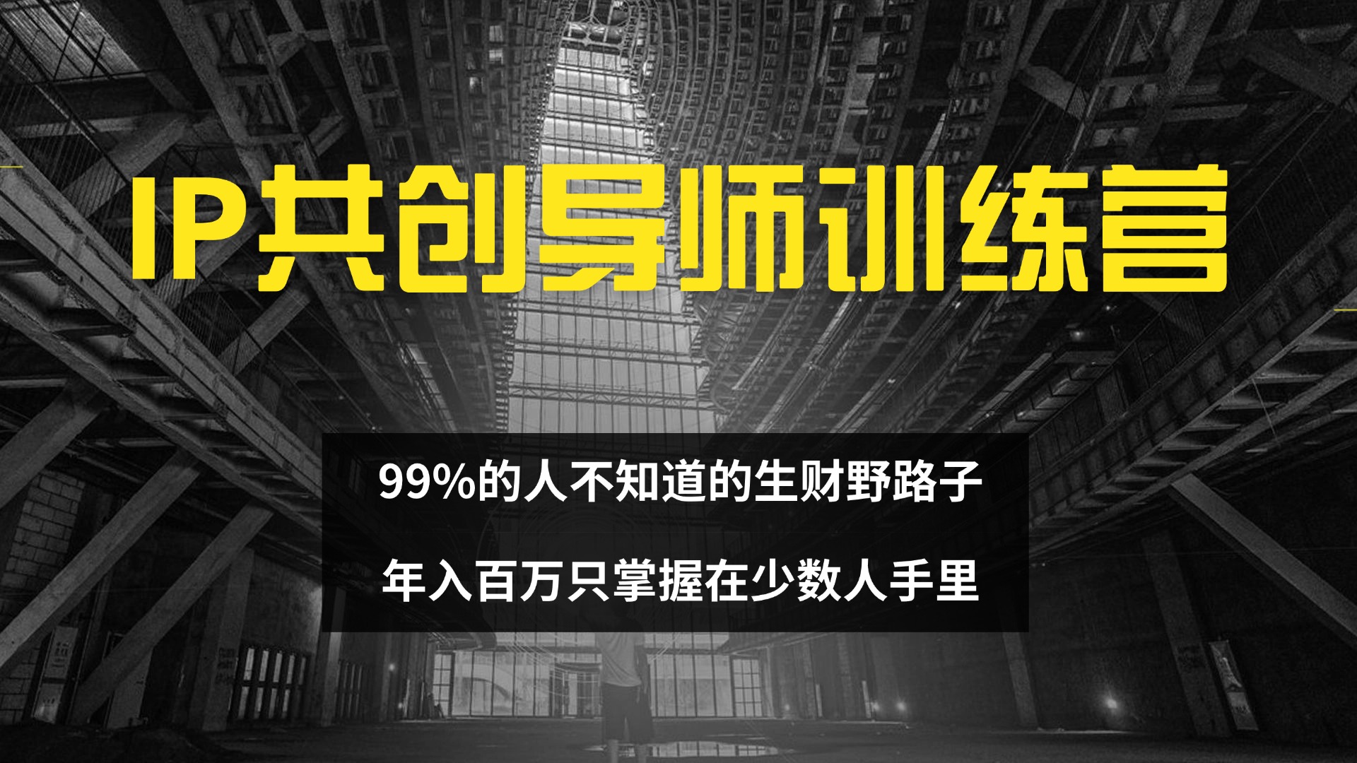 （12504期）IP共创导师训练营 99%的人不知道的生财野路子 只掌握在少数人手里-甄选网创