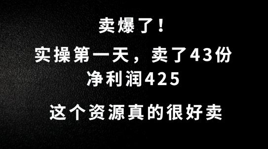 这个资源，需求很大，实操第一天卖了43份，净利润425【揭秘】-甄选网创