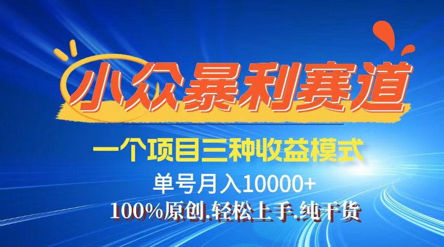 （12579期）【老人言】-视频号爆火赛道，三种变现方式，0粉新号调调爆款-甄选网创