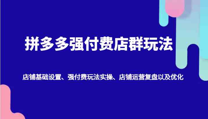 拼多多强付费店群玩法：店铺基础设置、强付费玩法实操、店铺运营复盘以及优化-甄选网创