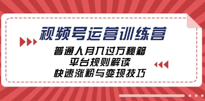 视频号运营训练营：普通人月入过万秘籍，平台规则解读，快速涨粉与变现-甄选网创