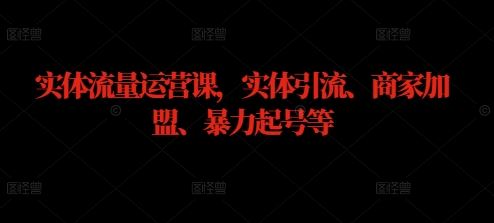 实体流量运营课，实体引流、商家加盟、暴力起号等-甄选网创