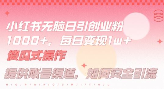 小红书无脑每日引流创业粉500+，小白每天只花半小时，躺赚长尾收益【揭秘】-甄选网创