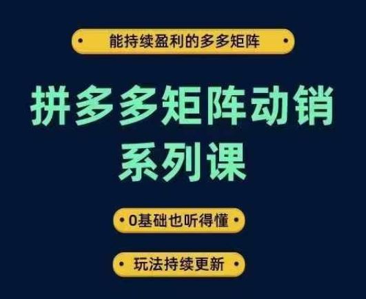 拼多多矩阵动销系列课，能持续盈利的多多矩阵，0基础也听得懂，玩法持续更新-甄选网创