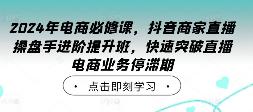 2024年电商必修课，抖音商家直播操盘手进阶提升班，快速突破直播电商业务停滞期-甄选网创