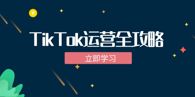 （12739期）TikTok实战运营全攻略：从下载软件到变现，抖音海外版实操教程-甄选网创