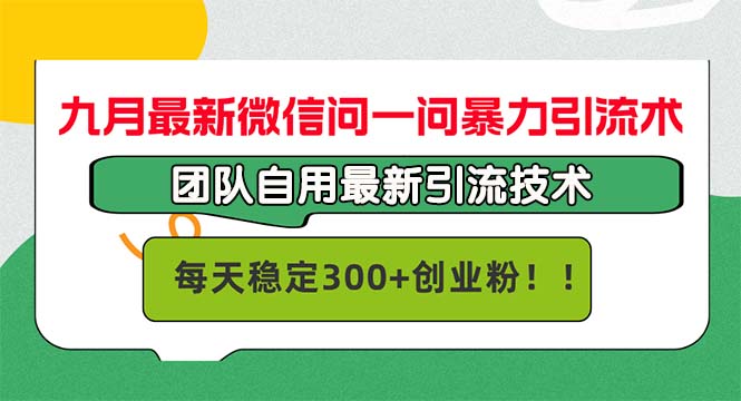 （12735期）九月最新微信问一问暴力引流术，团队自用引流术，每天稳定300+创…-甄选网创