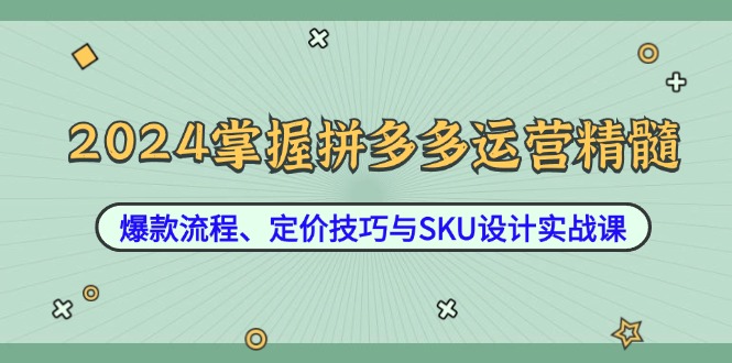 （12703期）2024掌握拼多多运营精髓：爆款流程、定价技巧与SKU设计实战课-甄选网创