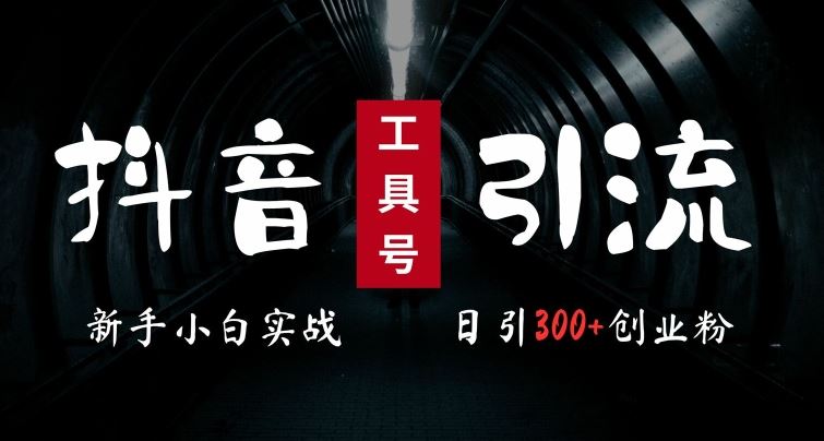 2024最新抖音工具号引流玩法，高效日引300+创业粉，当天变现5k，小白也可成为实战高手-甄选网创