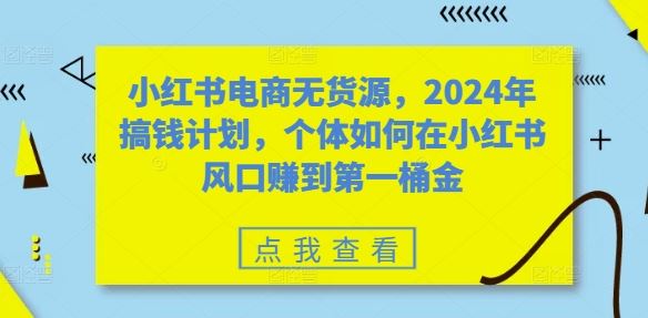 小红书电商无货源，2024年搞钱计划，个体如何在小红书风口赚到第一桶金-甄选网创