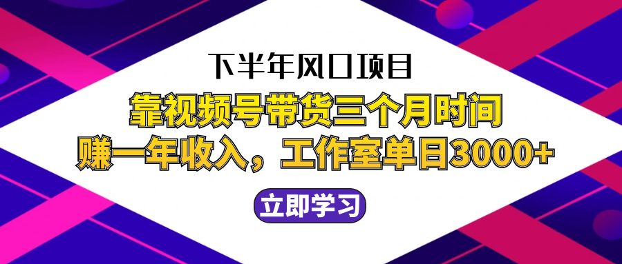 下半年风口项目，靠视频号带货三个月时间赚一年收入，工作室实测单日3…-甄选网创