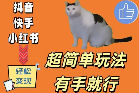 超简单玩法，有手就行，靠猫咪视频日入500+【揭秘】-甄选网创