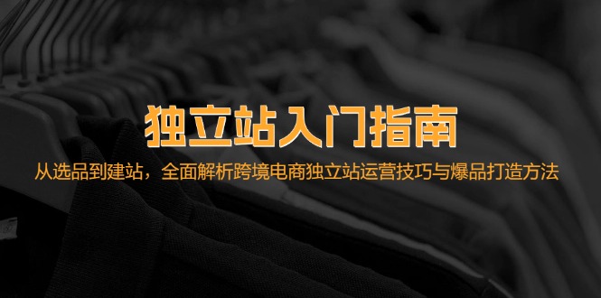 （12882期）独立站入门指南：从选品到建站，全面解析跨境电商独立站运营技巧与爆品…-甄选网创